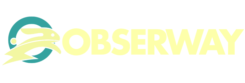 Obserway
